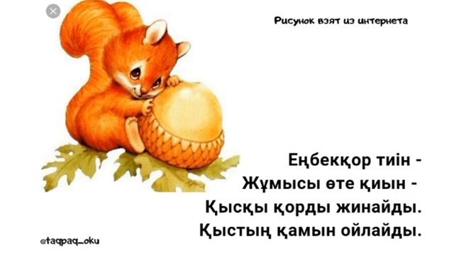 Адаптивные стихотворения на казахском языке для детей. Тиін туралы тақпақ смотреть онлайн