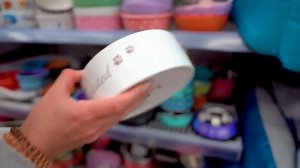 СКУПАЕМ ВСЕ ДЛЯ ЩЕНКА ! ШОППИНГ ДЛЯ СОБАКИ Челлендж! Первые Покупки для Фунтика