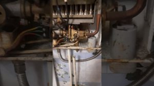 ремонт газовой колонки vector jsd20w течёт вода