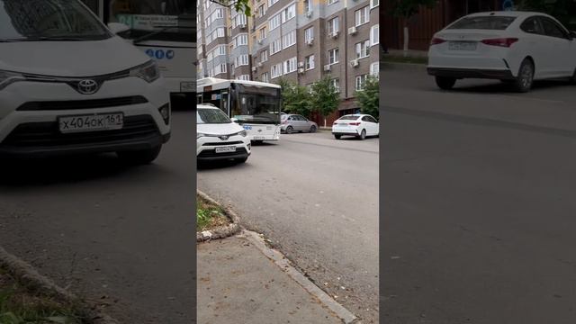 Автобус МАЗ-203.086 (Лотос) Маршрут №81 Микрорайон Суворовский-Улица Подвойского смотреть онлайн