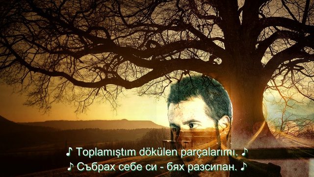 Emre Aydin - Sen Gitme (prevod)