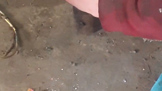 РЕМОНТ СТУПИЦЫ смотреть онлайн