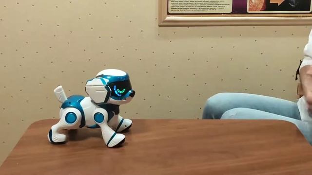 Занятие для детей. Английский язык. Возраст: 5-6 лет смотреть онлайн