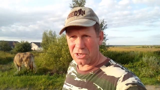 Нужны ли эмоции ........... смотреть онлайн