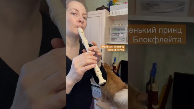 Микаэл Таривердиев - Маленький принц (блокфлейта сопрано) смотреть онлайн