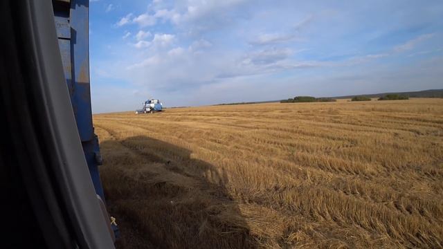 Уборка 2020. Вид со старого Енисея. Продолжаем молотить овес. смотреть онлайн