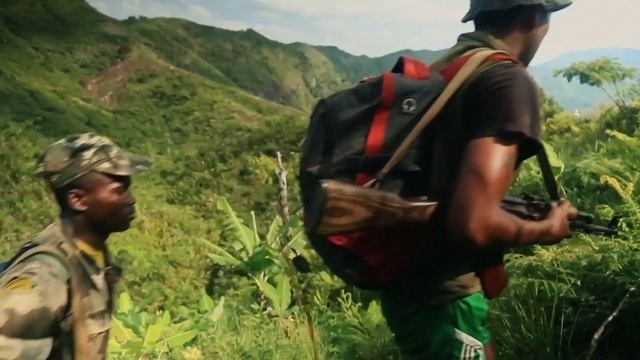 Quand l'armée joue les protecteurs des bovins смотреть онлайн