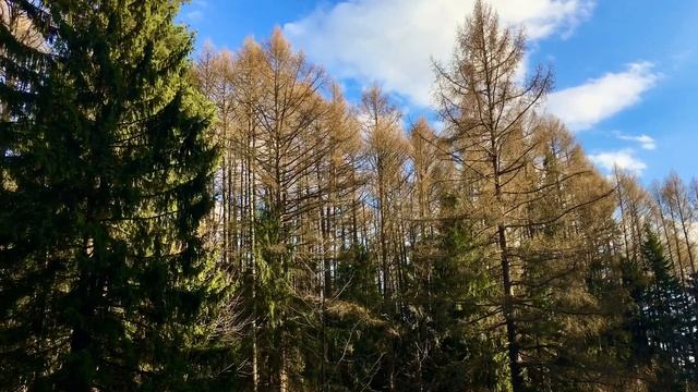 Отдых на природе! смотреть онлайн