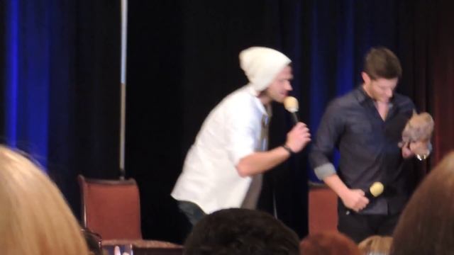 DallasCon '13 Misha crashes J2's panel with Icarus the Pig. смотреть онлайн