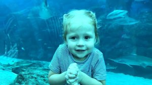 Океанариум с Акулами и Гигантский ОСЬМИНОГ / ВЛОГ для детей:  Поймали покемонов