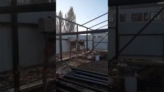 как я один строил навес 7×9м