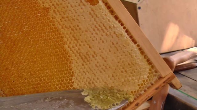 Электронож пасечный смотреть онлайн