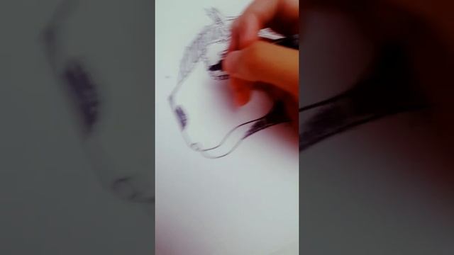 Как нарисовать красивую ЛОШАДЬ✏? смотреть онлайн