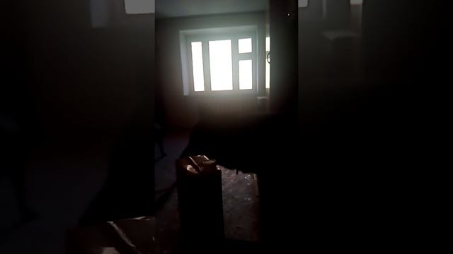 волк и неофобия - сделала перестановку в квартире + поставили новые двери с ключами, волку страшно смотреть онлайн