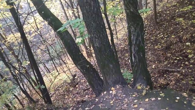 Золотая Осень наступила смотреть онлайн