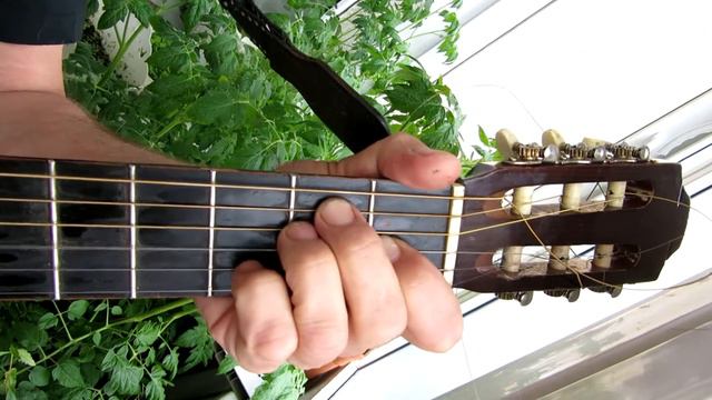 Живучий парень. Аккорды и бой смотреть онлайн