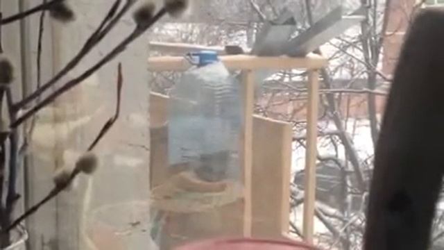Кормушка для птиц 3 смотреть онлайн