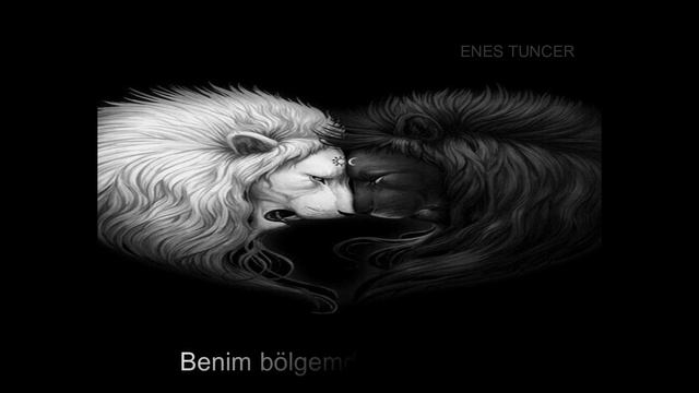 Tenca - Лев / Lev (Türkçe Çeviri) смотреть онлайн