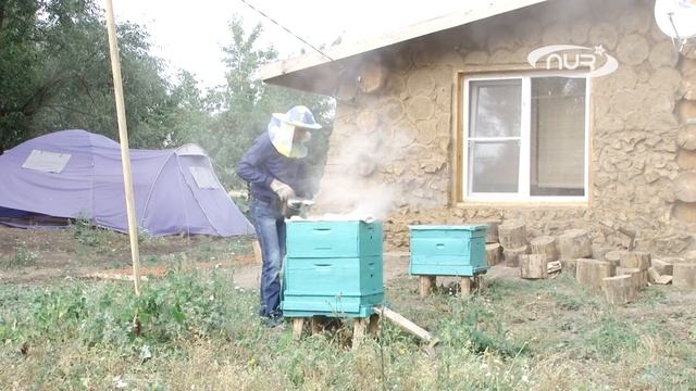 Дауншифтинг по-мусульмански смотреть онлайн