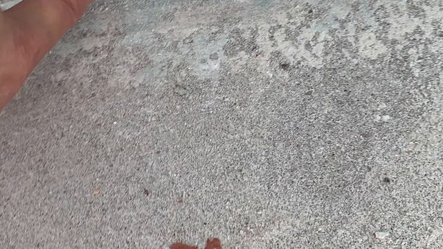 167/ПЛЕСЕНЬ.АНТИ- ПЛЕСЕНЬ. ФУРАЦИЛИН. ПРОФФНСИОНАЛЫ смотреть онлайн