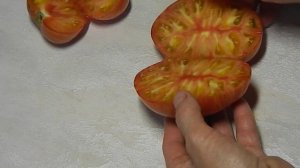 Томат DSA гном. Тест зрелых плодов.