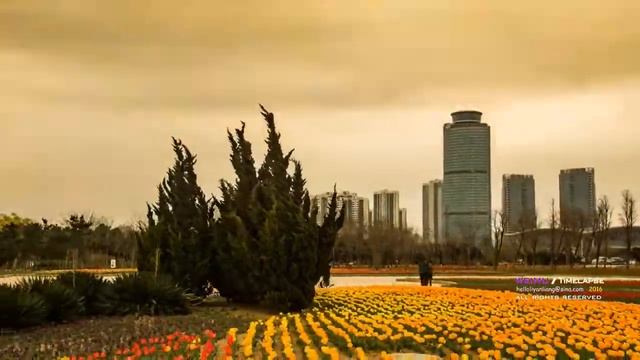 Yantai under time-lapse photography смотреть онлайн