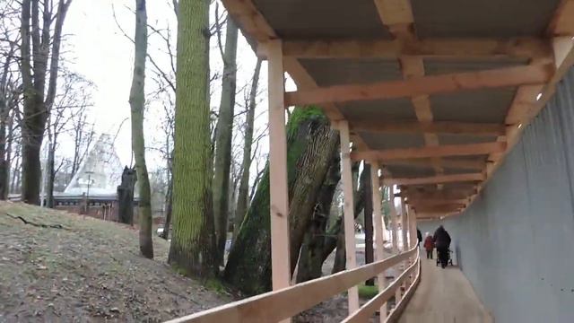 Калининград в Зоопарке через улицу Чайковского - 4 января 2018 смотреть онлайн