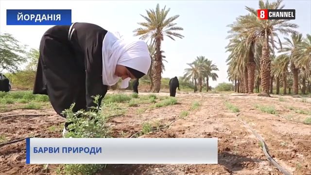 В Йорданії винайшли екологічний спосіб фарбування тканини