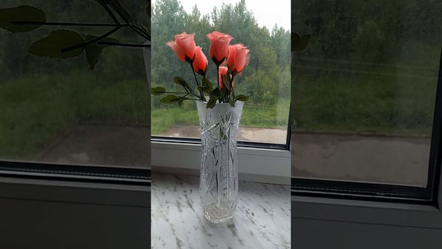 Розовые розы, клип на песню смотреть онлайн