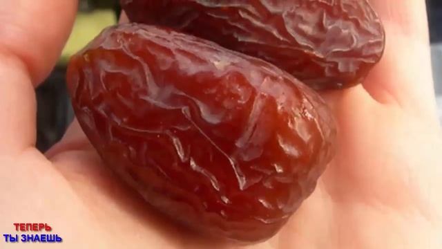 Сосуды Головы Моментально Очистятся За СУТКИ Просто Съешь натощак и до сна... смотреть онлайн