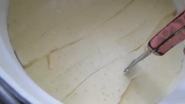 Золотой сир Целебный сыр Сыр с куркумой