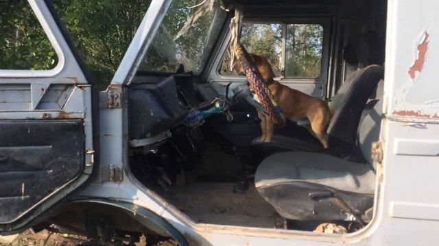 Понижайка луаз смотреть онлайн