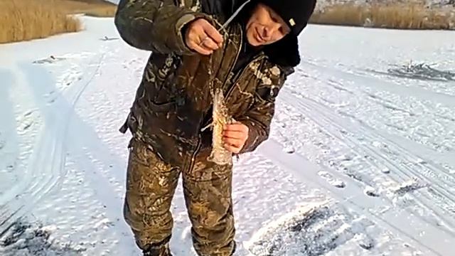 Щука на жерлицы Петровск смотреть онлайн