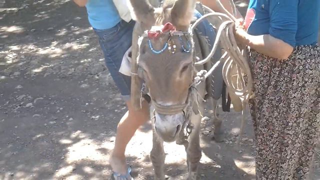 Турция, прогулка по серпантину 2013 август смотреть онлайн