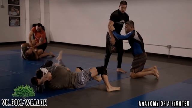 Анатомия бойца - Эл Яквинта (четвертая часть)