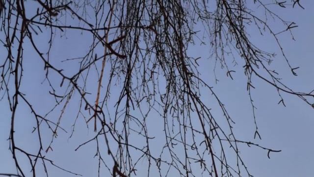 март 2020 смотреть онлайн