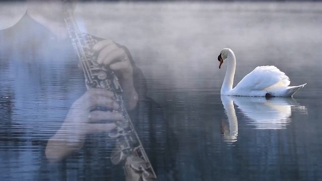 The Silver Swan - Orlando Gibbons arr. Forshaw смотреть онлайн