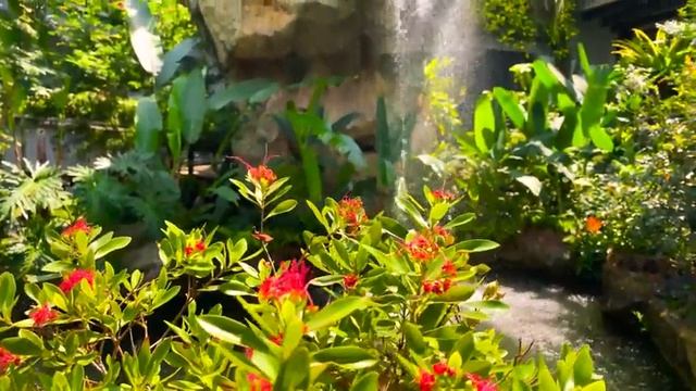 Yспокаивающая музыка для нервов ? лечебная музыка для сердца и сосудов, релакс, музыка для души