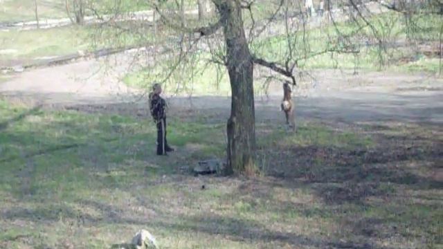 Питбуль смотреть онлайн