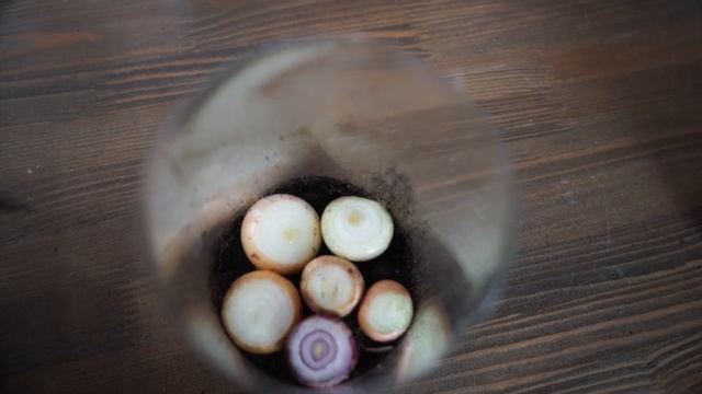 Лук на зелень за 5 дней ☘ Перо лука в бутылке ☘ СУПЕР УРОЖАЙНЫЙ СПОСОБ ВЫРАЩИВАНИЯ смотреть онлайн