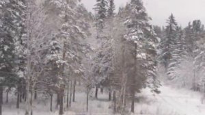 Мой самый любимый городок ЗАТО Свободный
