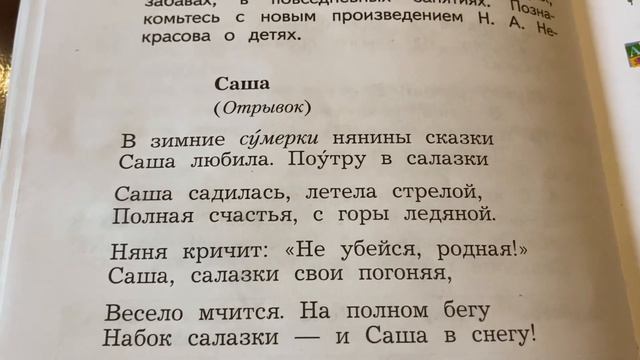 Чтение 4 кл:Н.А.Некрасов «Саша»/отрывок/19.11.22 смотреть онлайн