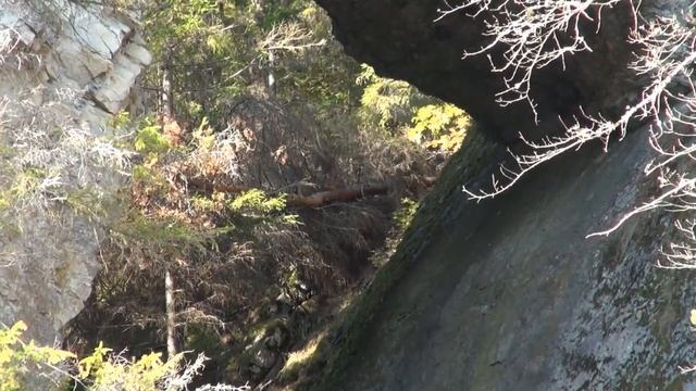 Усть Койва смотреть онлайн