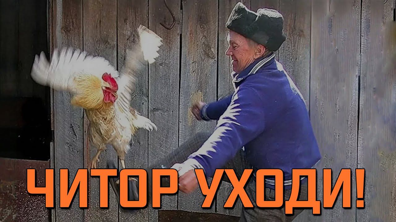 Ищем сервер без читеров | Battlefield V смотреть онлайн