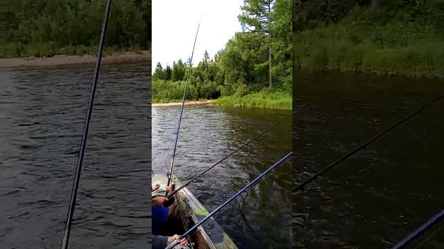 Рыбалка на реке Агул смотреть онлайн