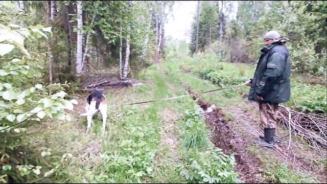 Дунайчик 19 05 2019г смотреть онлайн