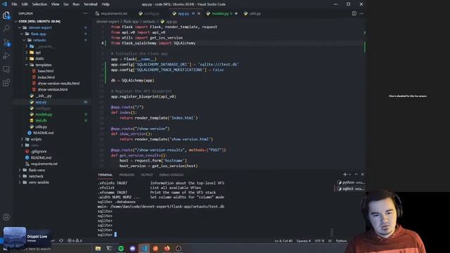 Road to DevNet Expert: Flask & SQLAlchemy смотреть онлайн