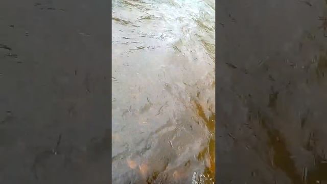 гоняем на мотоциклах урал смотреть онлайн