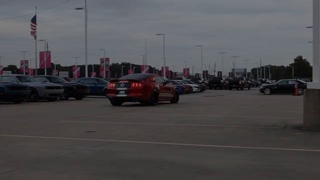 2013 Ford Mustang Shelby Super Snake (Widebody + Holeshot Package!!) смотреть онлайн