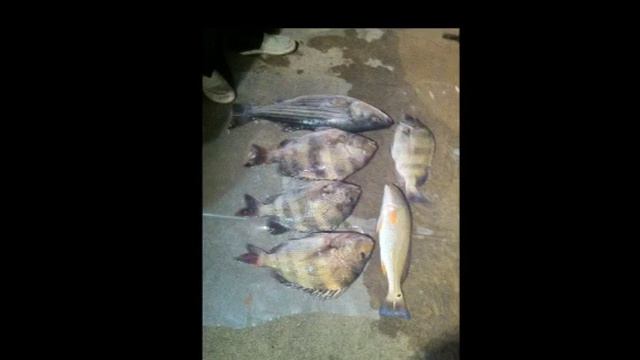 monster catch Baytown I смотреть онлайн